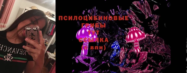 соль ск Верхнеуральск