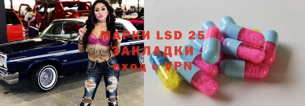 spice Сясьстрой