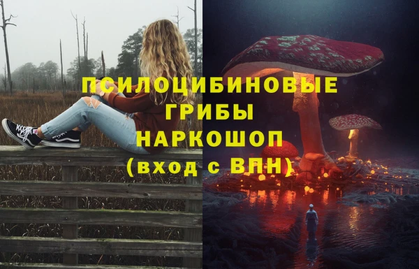 мдма Тайга