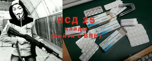 прущие крисы Верея