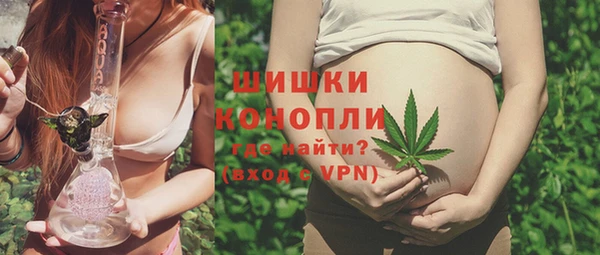 прущие крисы Верея