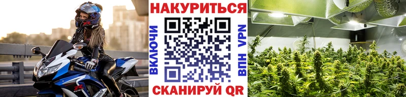 Бошки марихуана Bruce Banner  Новотроицк 